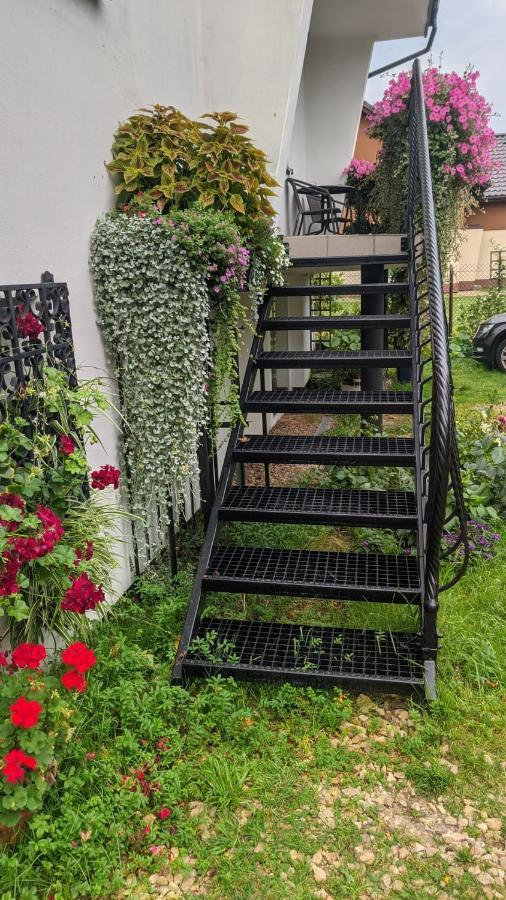 ZATOR Noclegi u Babci Józi Exterior foto
